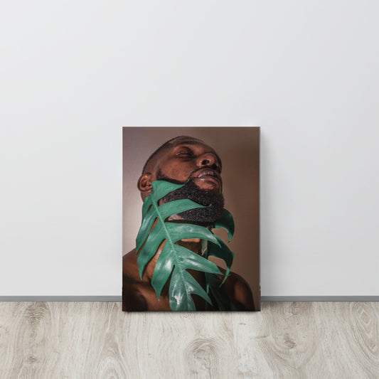 Fenestrations Canvas Print