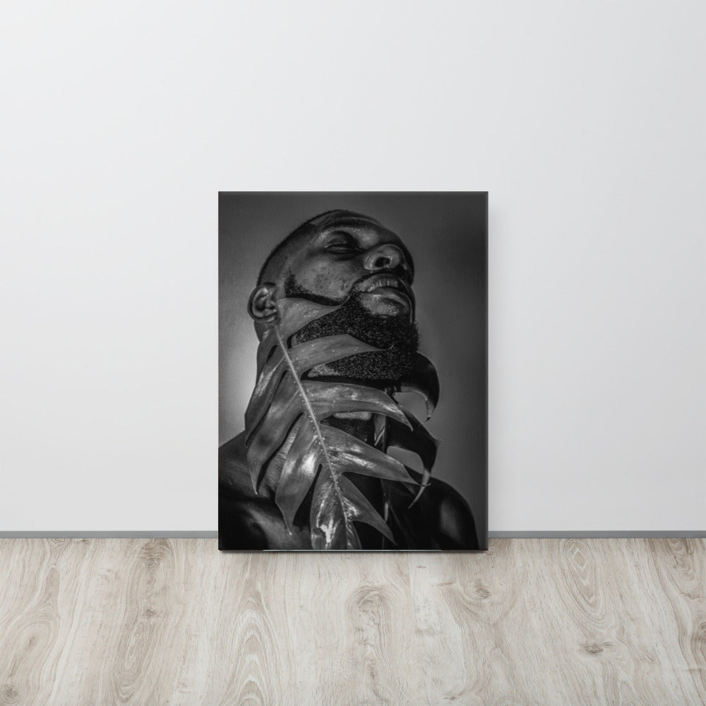 Fenestrations Canvas Print (Black and White)