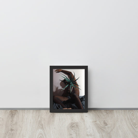 The Plant Daddy and His Aloes Framed poster