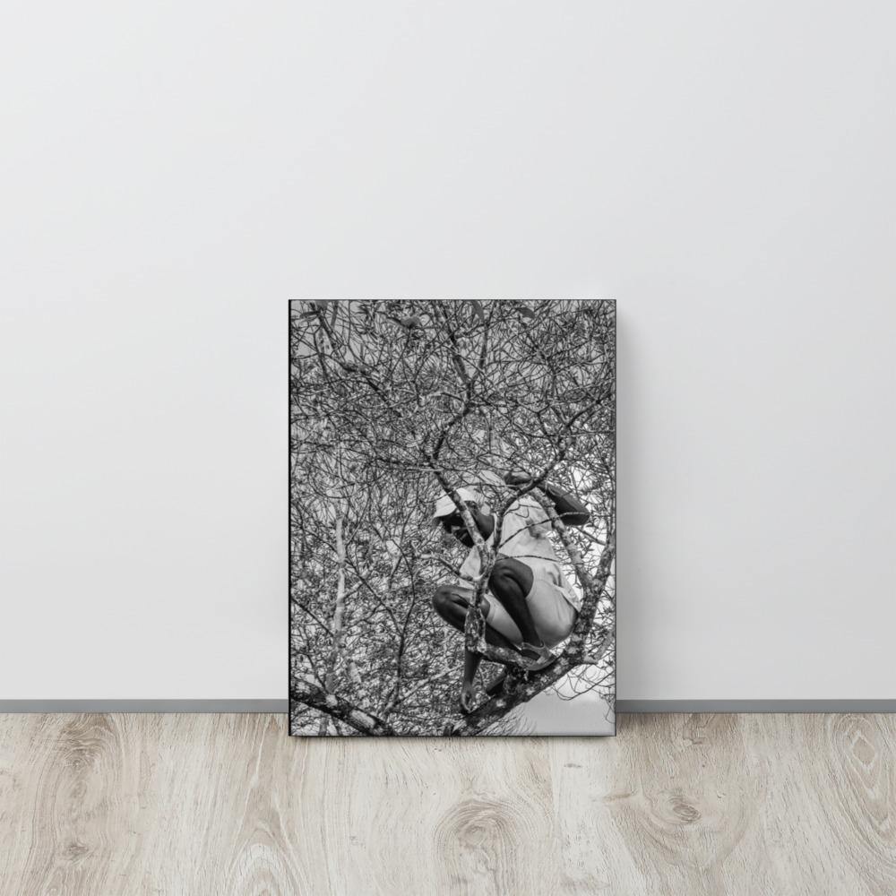 The Climber Canvas Print - Innovign Art