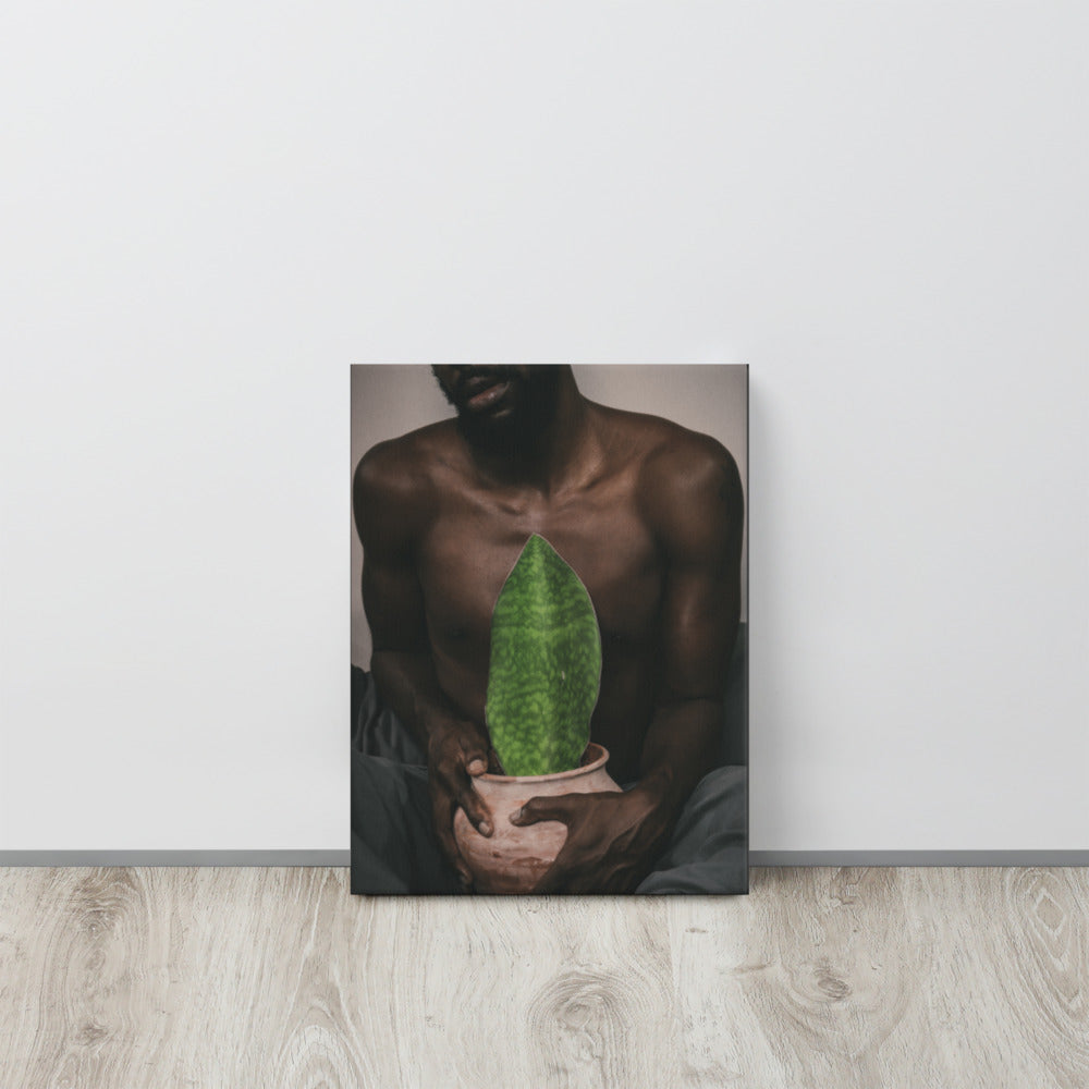 A Whale Fin's Cradle Canvas Print