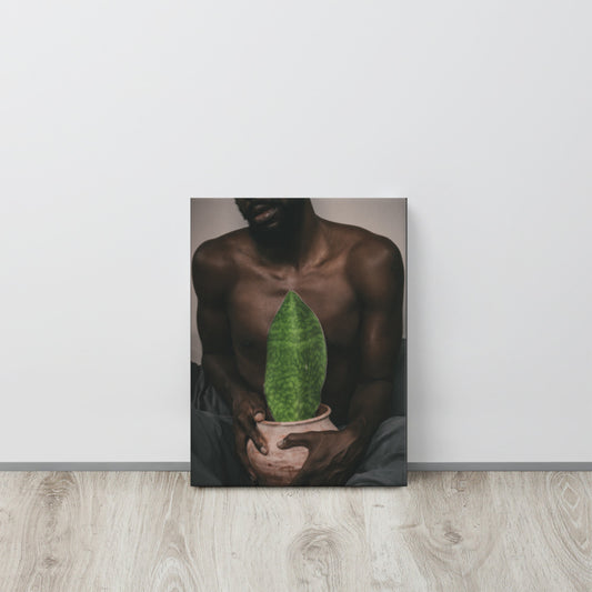 A Whale Fin's Cradle Canvas Print
