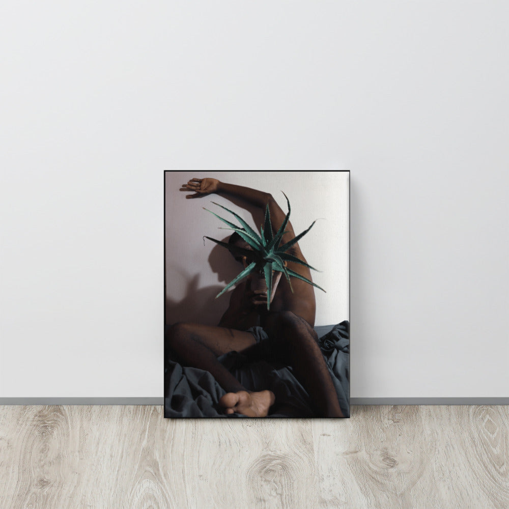 The Plant Daddy and His Aloes Canvas Print