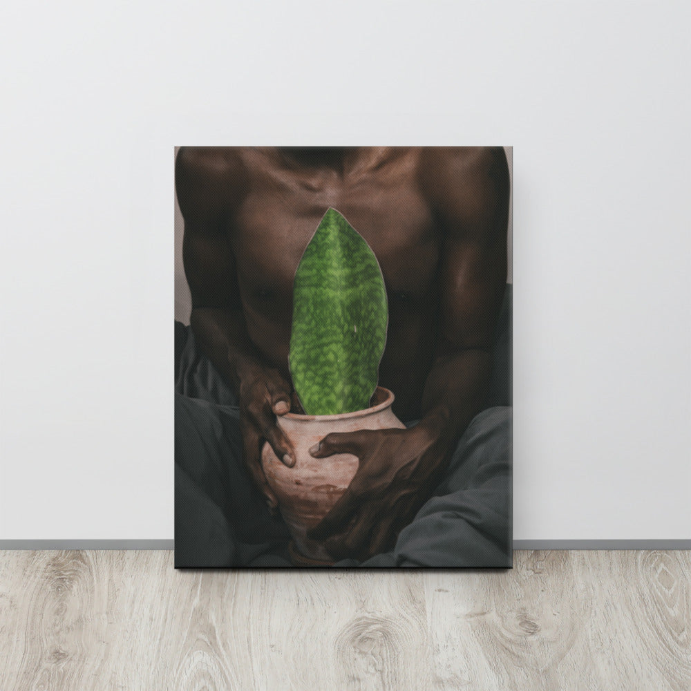 A Whale Fin's Cradle Canvas Print