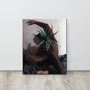 The Plant Daddy and His Aloes Canvas Print