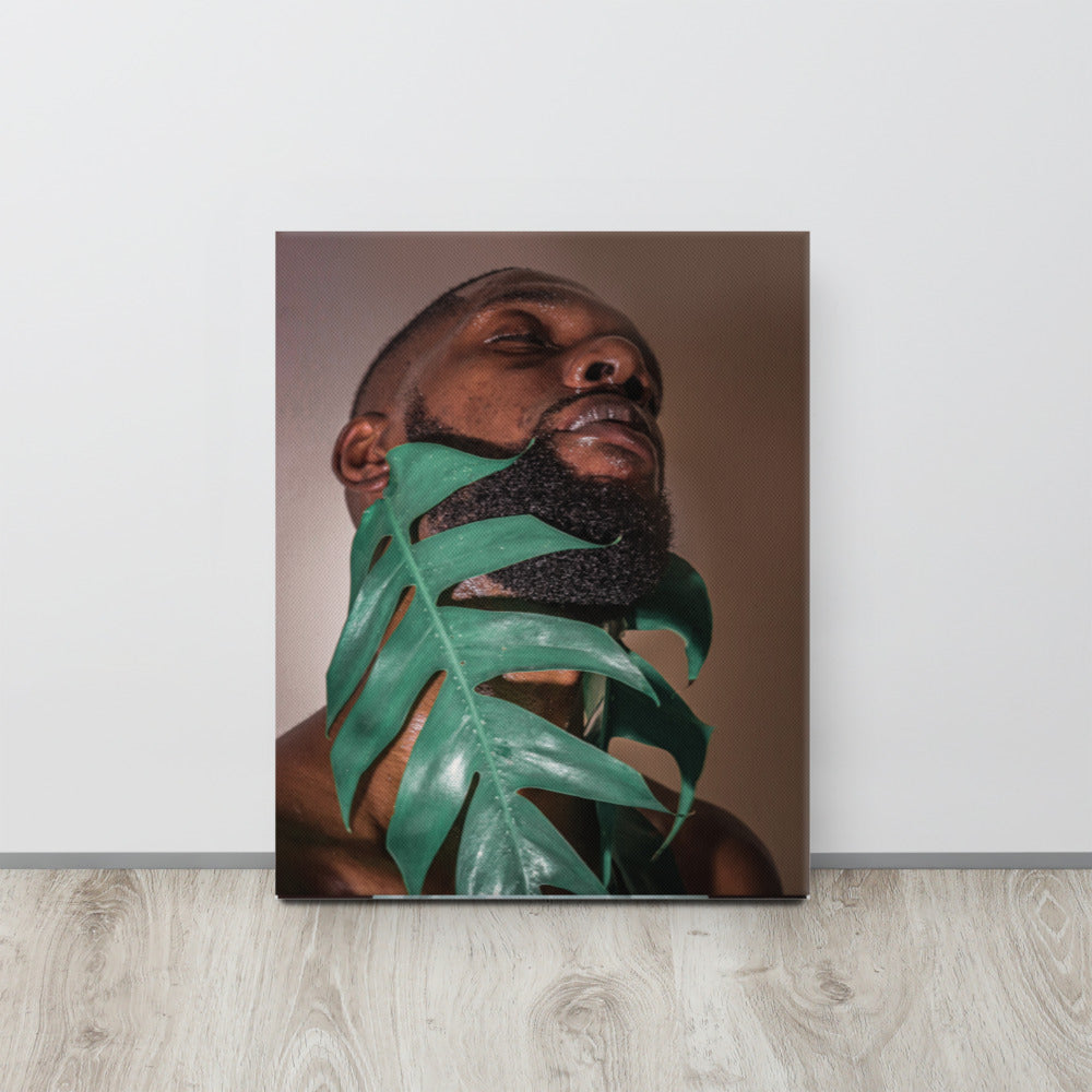 Fenestrations Canvas Print