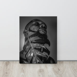 Fenestrations Canvas Print (Black and White)