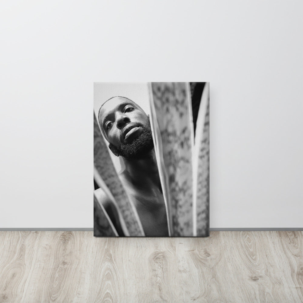 Snake Plant Canvas  Print