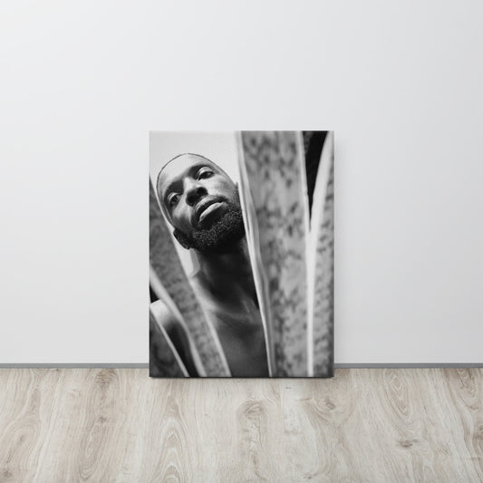Snake Plant Canvas  Print