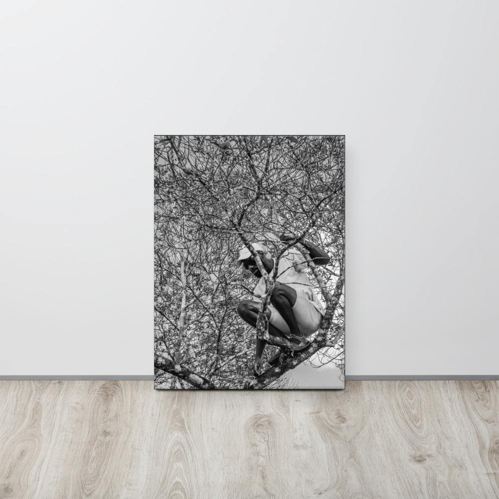 The Climber Canvas Print - Innovign Art