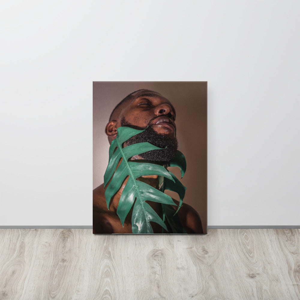 Fenestrations Canvas Print