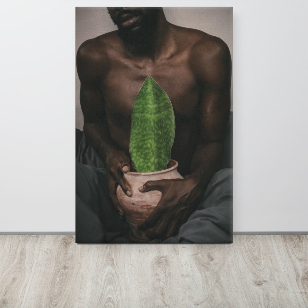A Whale Fin's Cradle Canvas Print