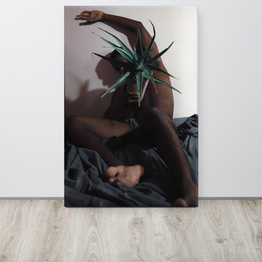 The Plant Daddy and His Aloes Canvas Print