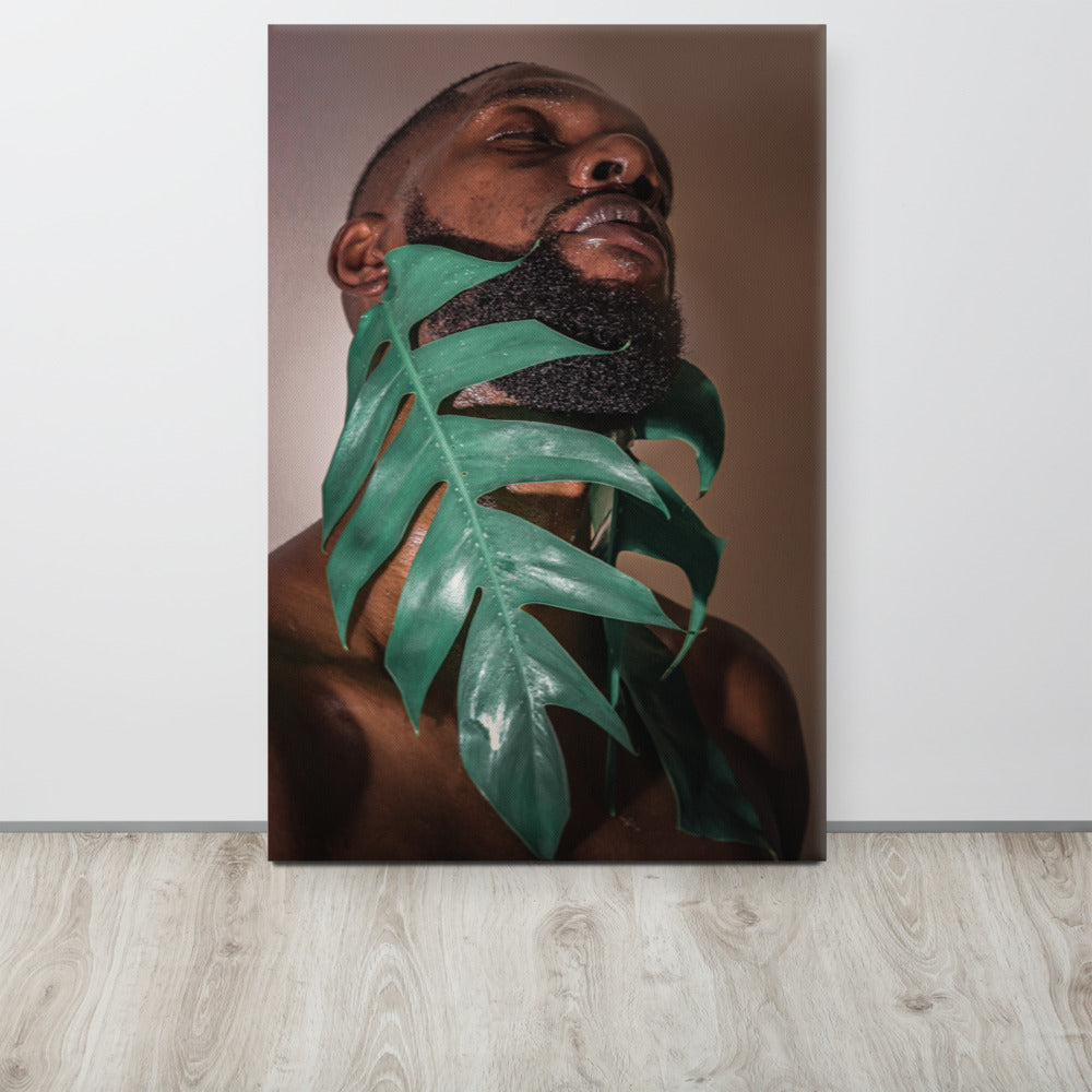 Fenestrations Canvas Print