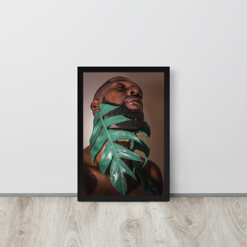 Fenestrations Framed poster