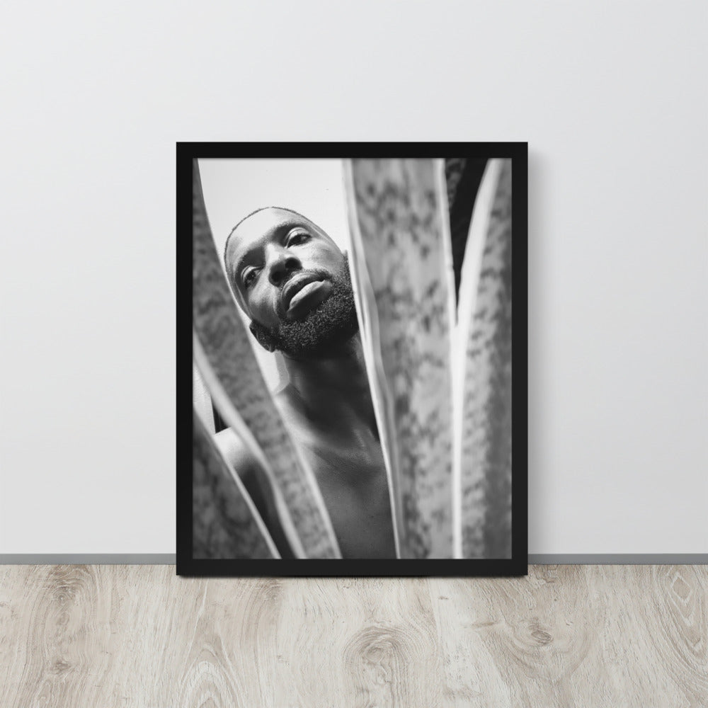 Snake Plant Framed Poster
