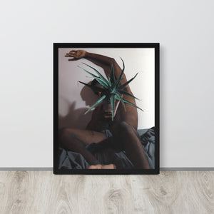 The Plant Daddy and His Aloes Framed poster