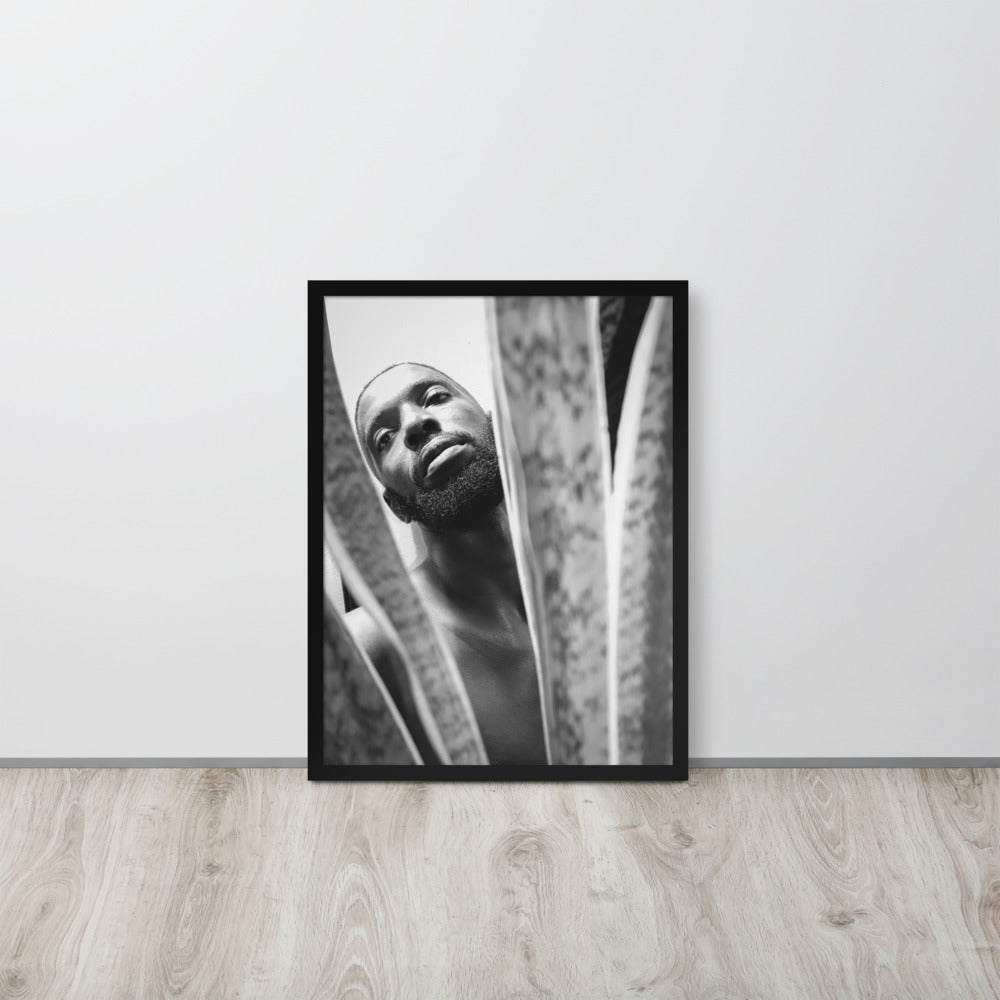 Snake Plant Framed Poster