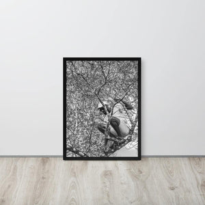 The Climber Framed poster - Innovign Art