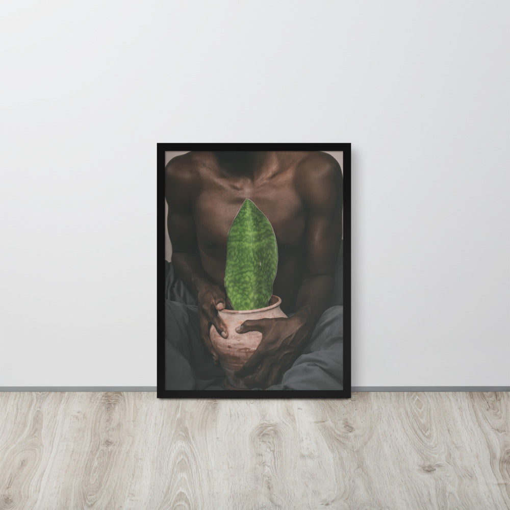 A Whale Fin's Cradle Framed poster