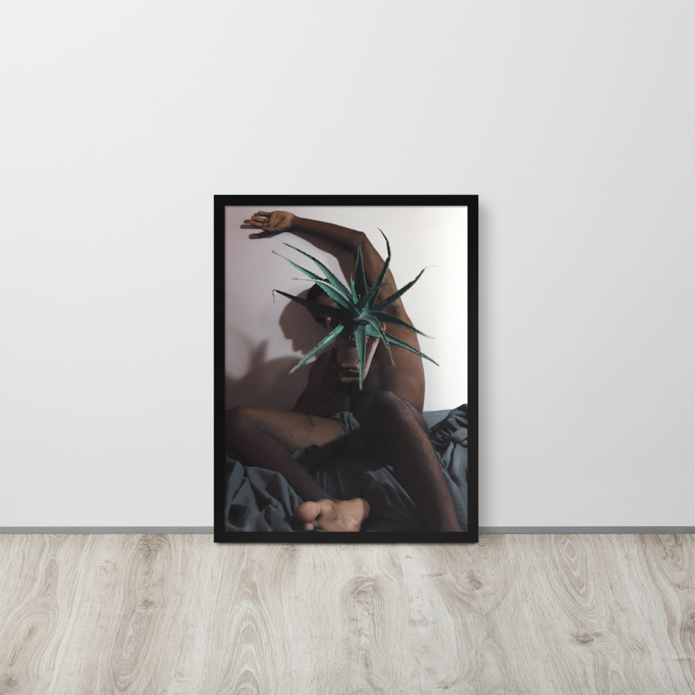 The Plant Daddy and His Aloes Framed poster