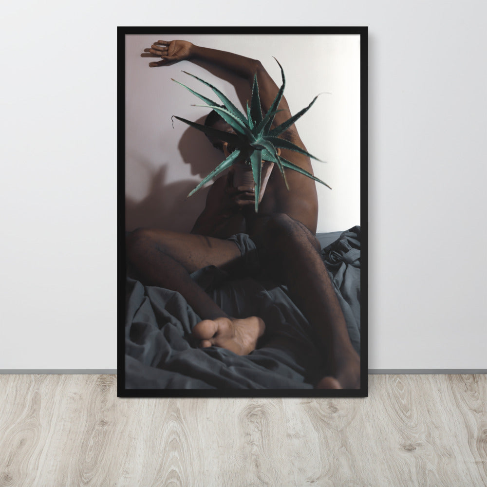 The Plant Daddy and His Aloes Framed poster