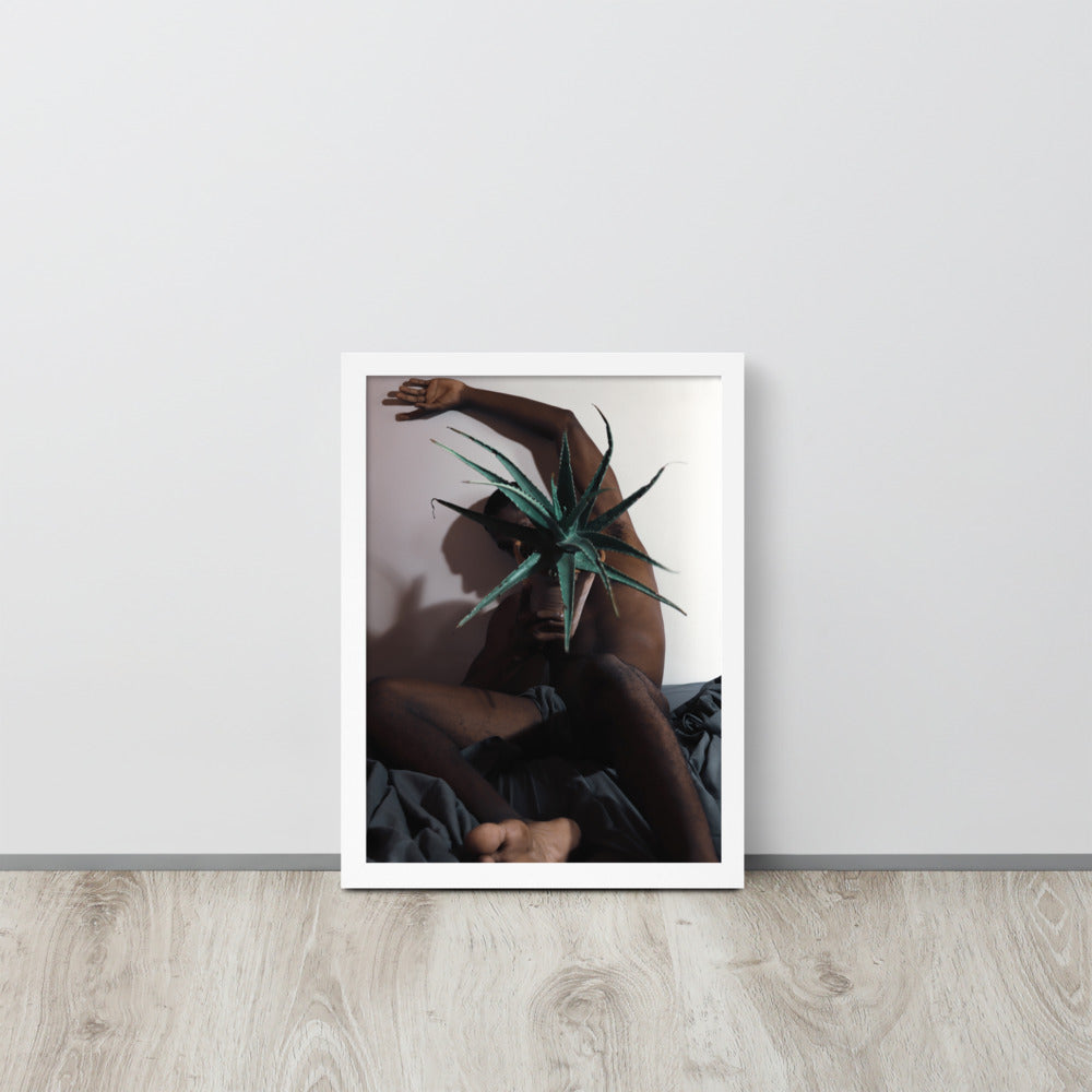 The Plant Daddy and His Aloes Framed poster