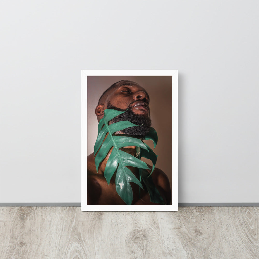 Fenestrations Framed poster