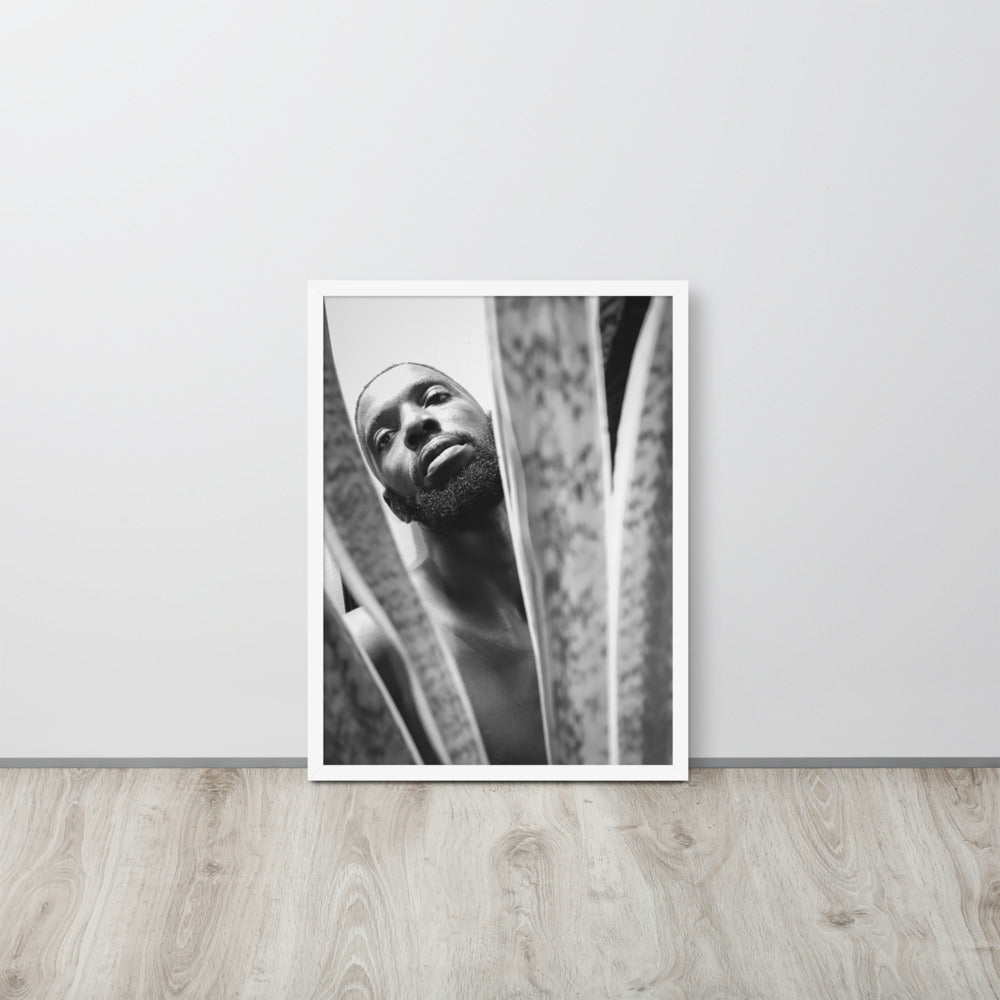 Snake Plant Framed Poster