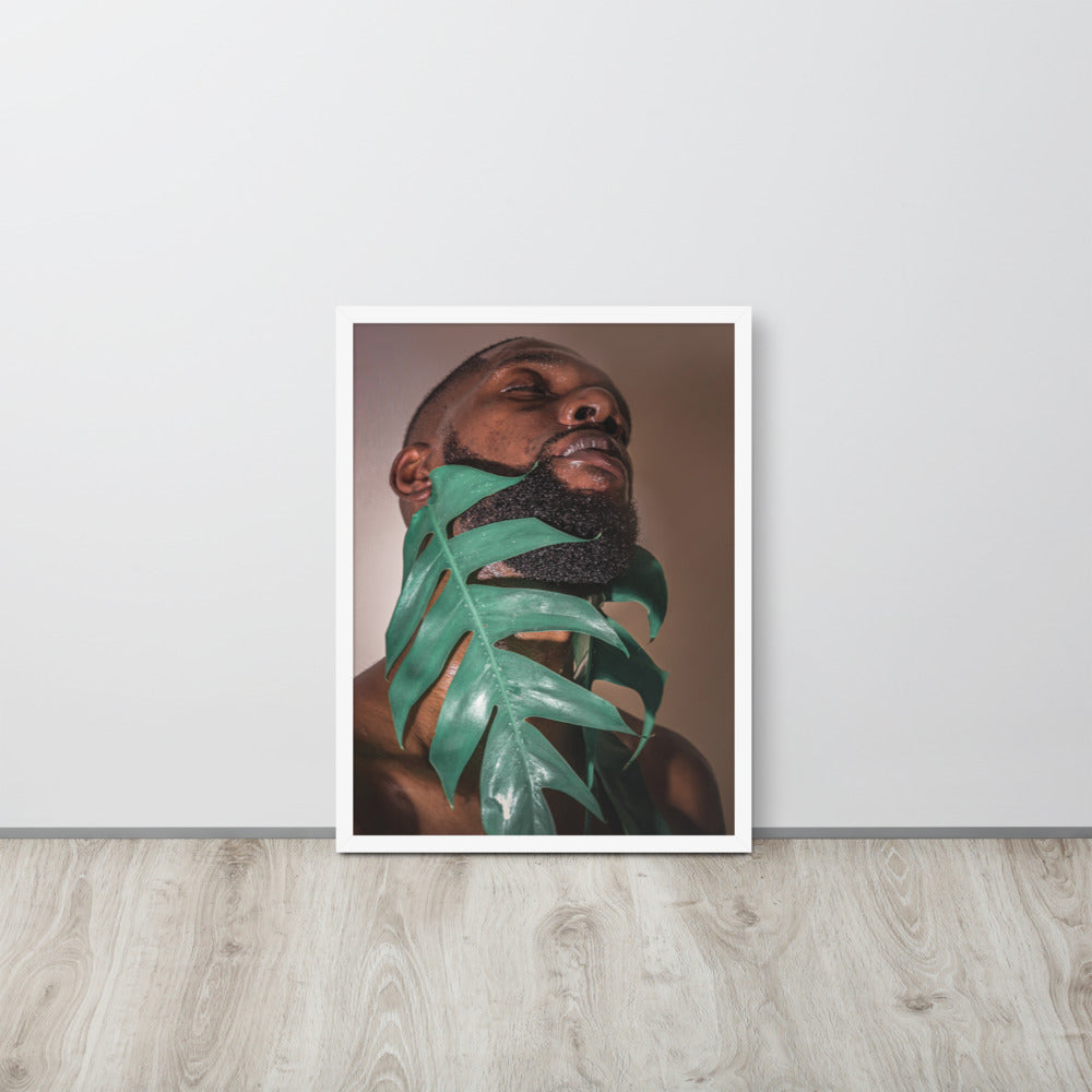 Fenestrations Framed poster