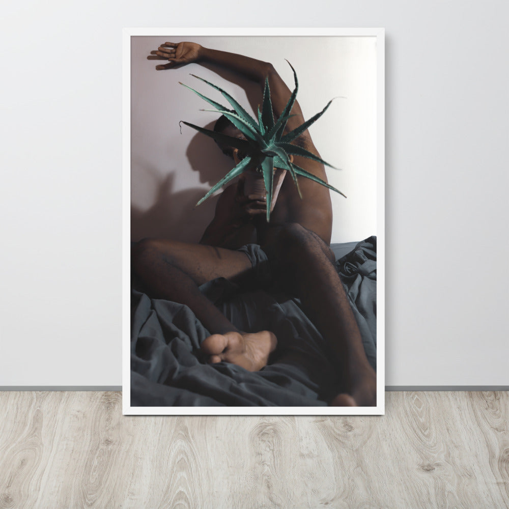 The Plant Daddy and His Aloes Framed poster