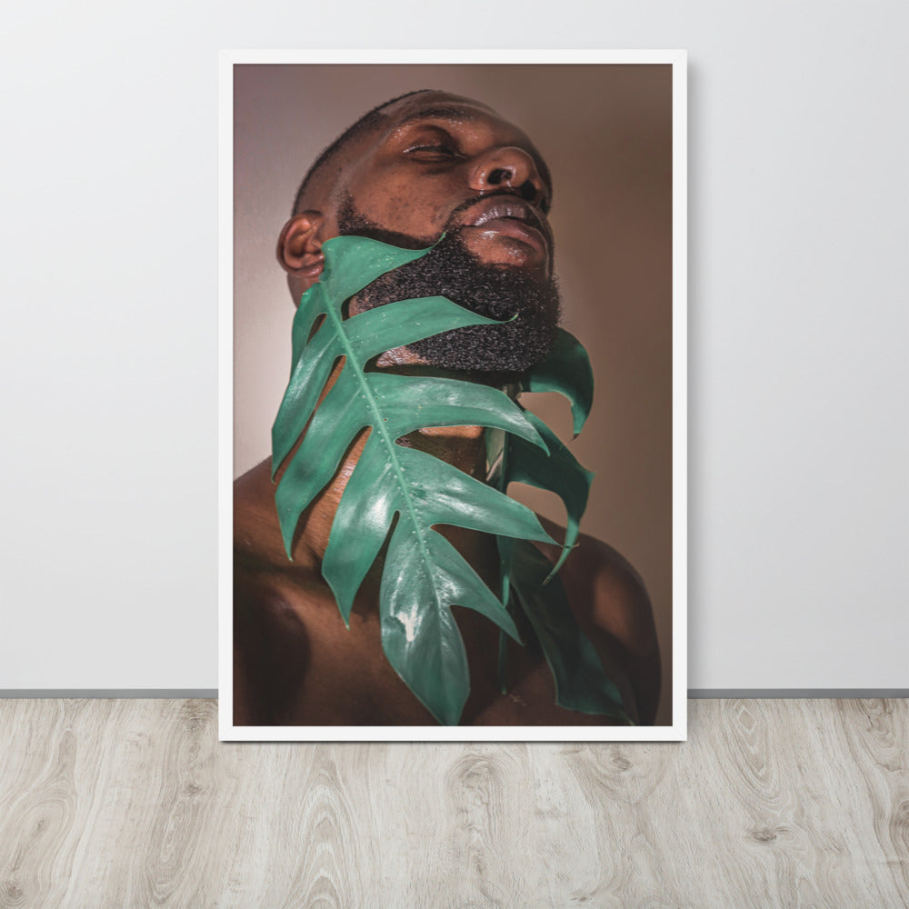 Fenestrations Framed poster