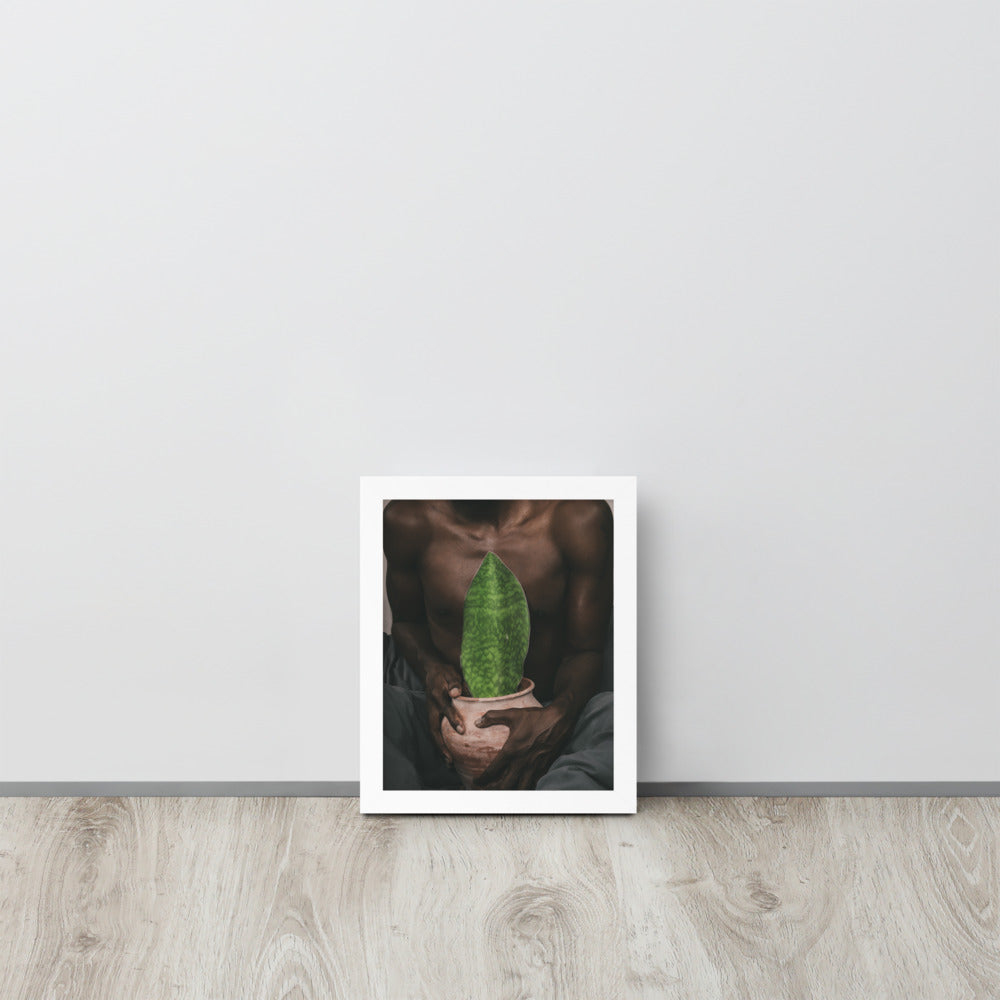 A Whale Fin's Cradle Framed poster