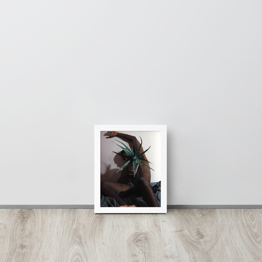 The Plant Daddy and His Aloes Framed poster
