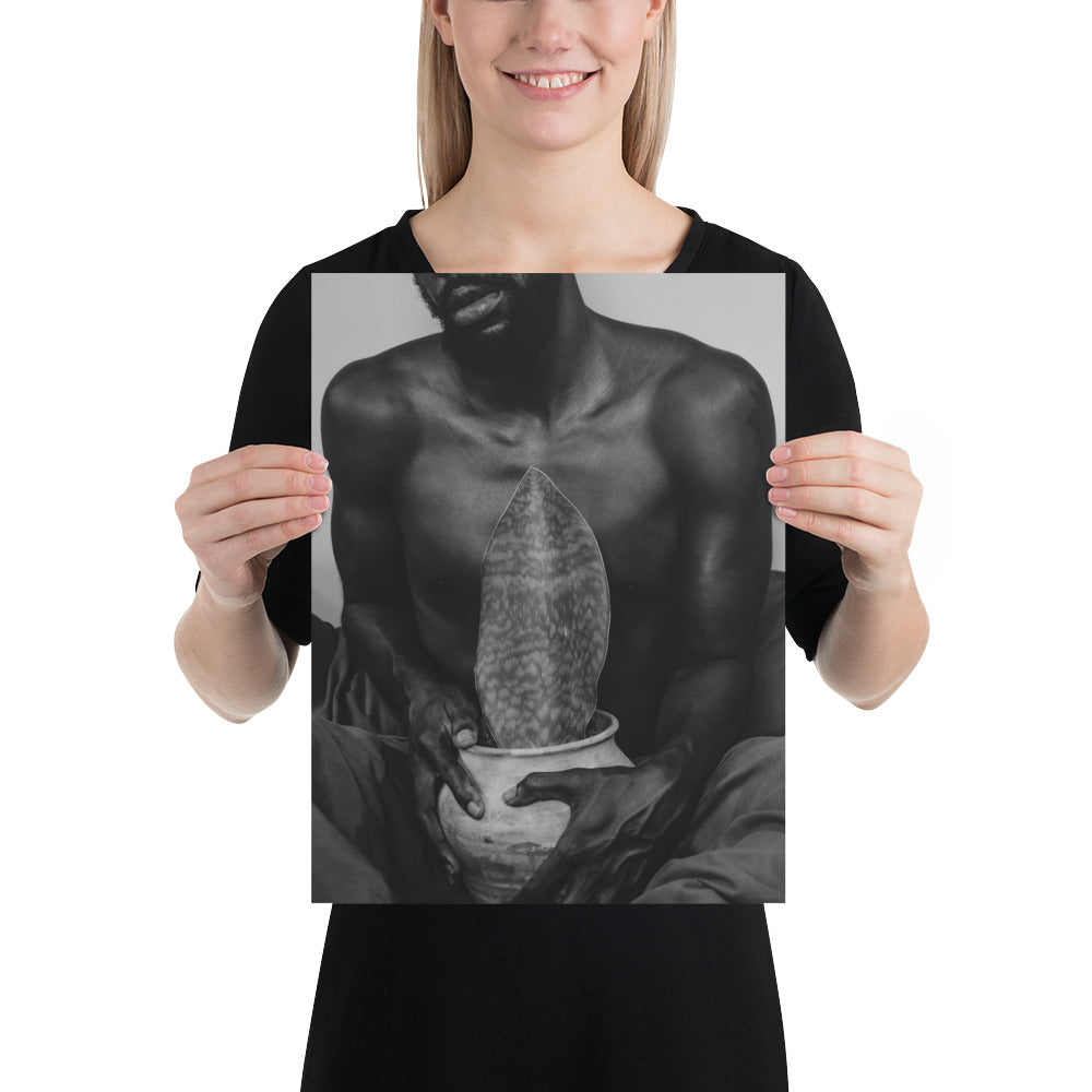 A Whale Fin's Cradle Poster (Black & White)