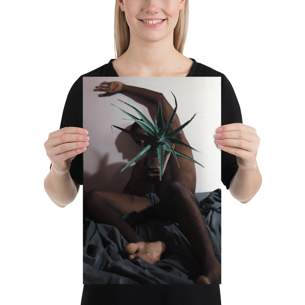 The Plant Daddy and his Aloes Poster