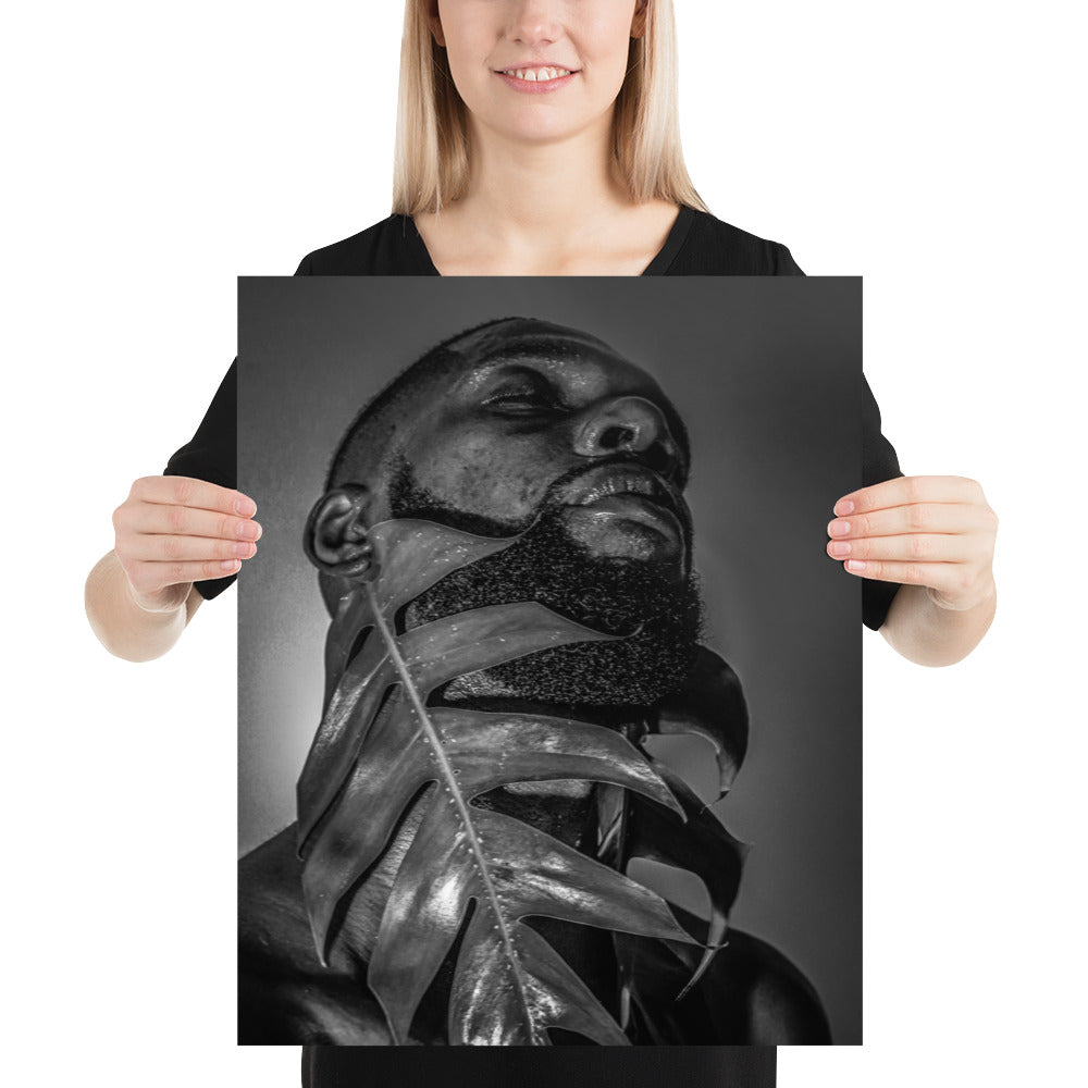 Fenestrations Poster (Black and White)