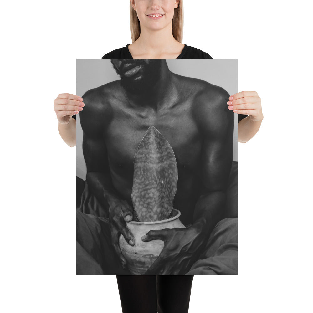 A Whale Fin's Cradle Poster (Black & White)