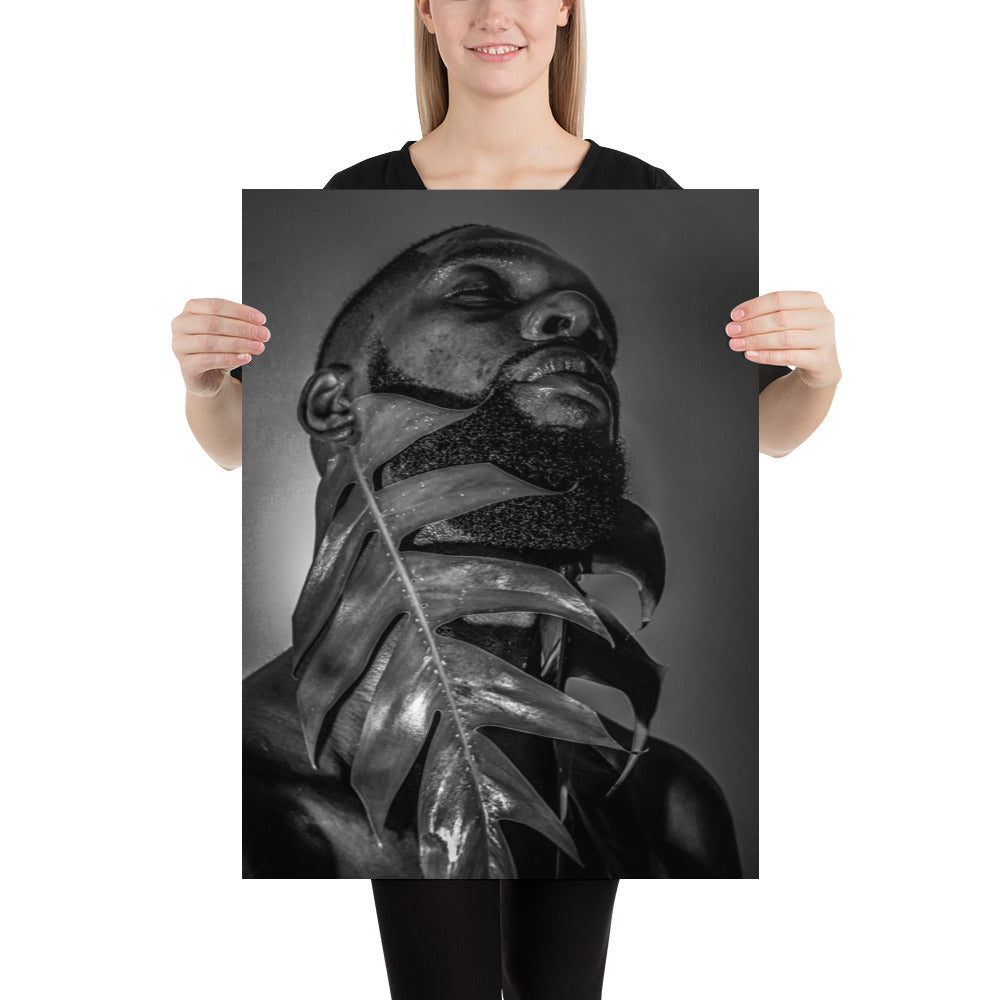 Fenestrations Poster (Black and White)