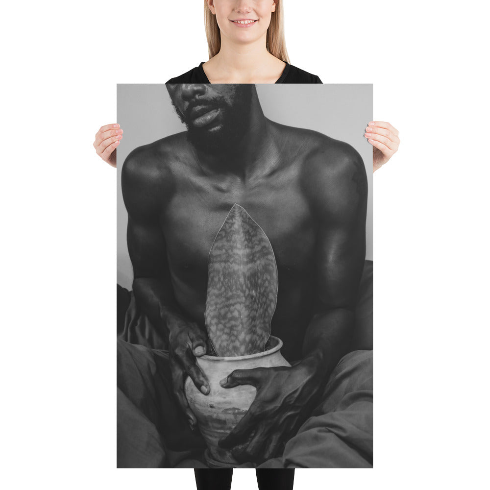 A Whale Fin's Cradle Poster (Black & White)