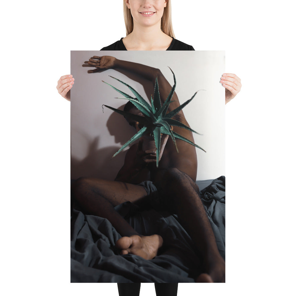 The Plant Daddy and his Aloes Poster