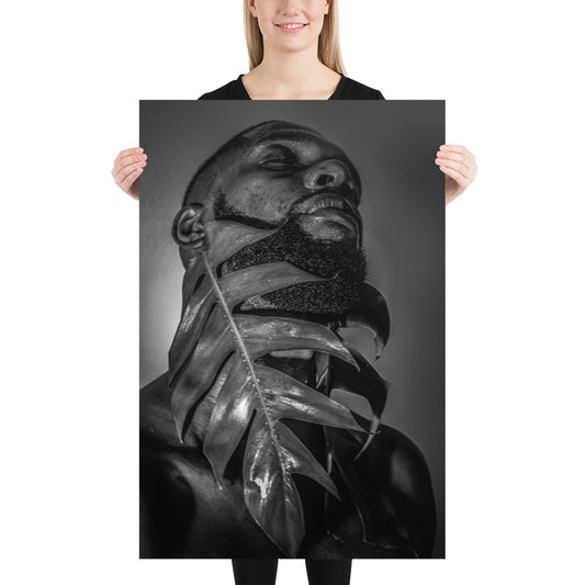 Fenestrations Poster (Black and White)