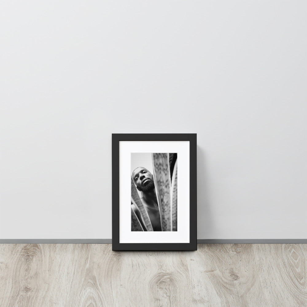 Snake Plant Matte Paper Framed Poster With Mat