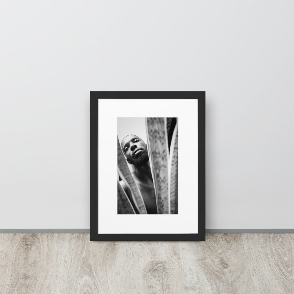 Snake Plant Matte Paper Framed Poster With Mat