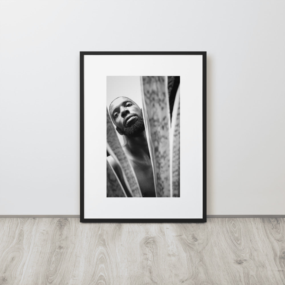 Snake Plant Matte Paper Framed Poster With Mat