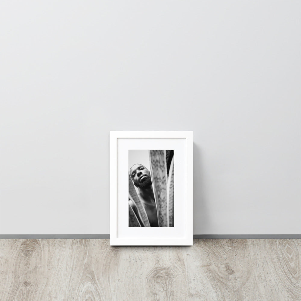 Snake Plant Matte Paper Framed Poster With Mat