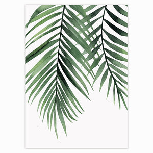 Tropical Plants Canvas Prints