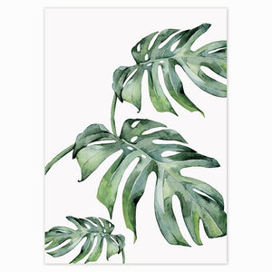 Tropical Plants Canvas Prints