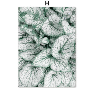 Monstera Forest Lake Mountain Canvas Prints